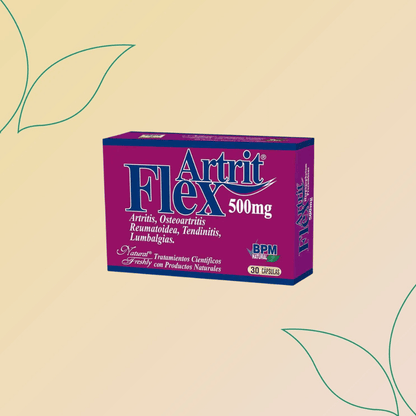 Flex Artrit