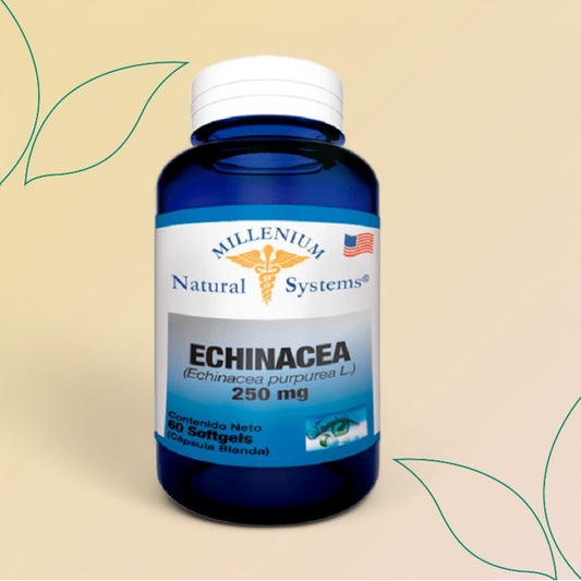 Echinacea