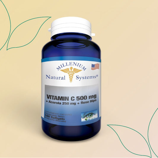 Vitamin C 500Mg + Acerola 250Mg + Rose Hips