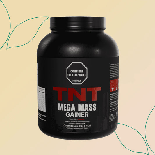 Tnt Mega Mass Gainer