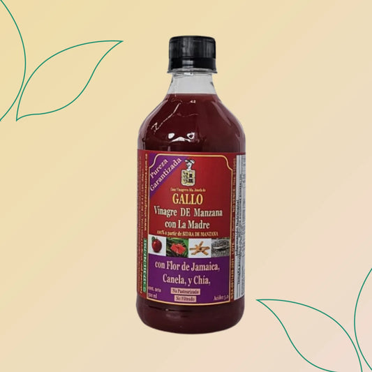 Vinagre de manzana con Flor De Jamaica, Canela y Chia Casa Vinagrera Ma. Josefa De Gallo