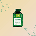 Alcachofa