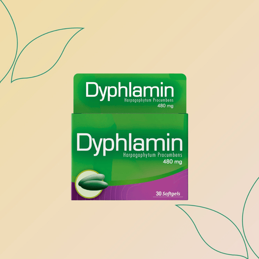 Dyphlamin Harpagophytum Procumbens 480mg