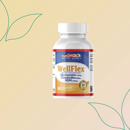 Wellflex™ Glucosamine 1500Mg, Chondroitin 1200Mg, Msm 750Mg (2 Tablets Per Serving) healthy america